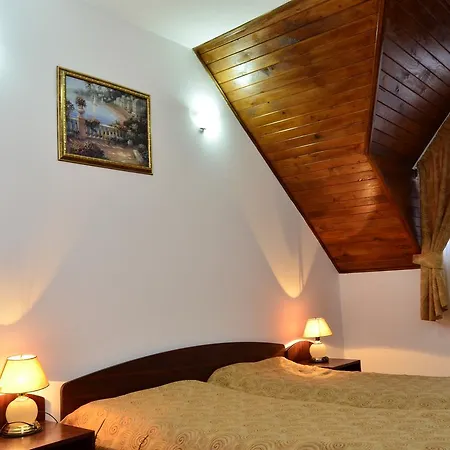 Motel Din Darste 3*